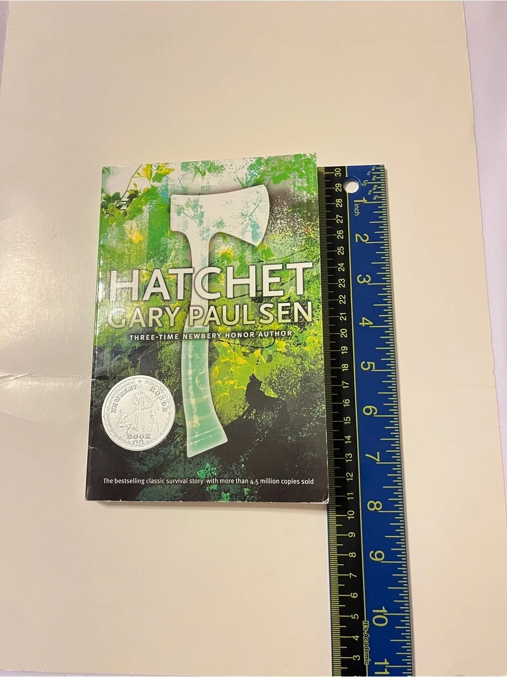 Hatchet Gary Paulsen Paperback Book Aladdin Edition 2006 Survival Novel
